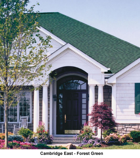 0-CambE-ForestGreen.jpg