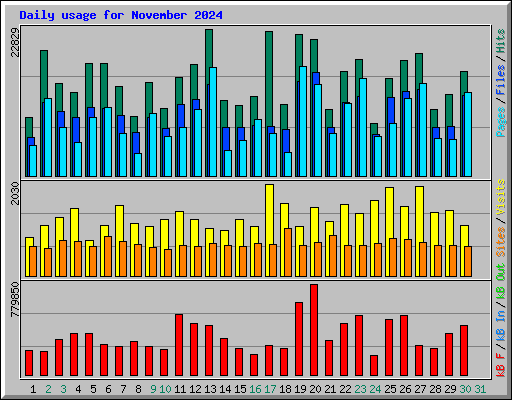 Daily usage for November 2024