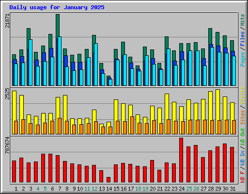 Daily usage for January 2025