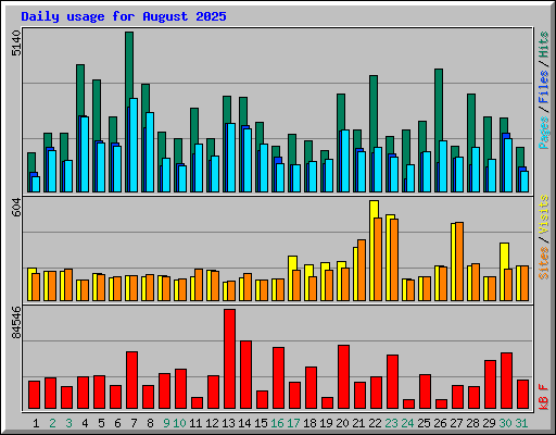 Daily usage for August 2025