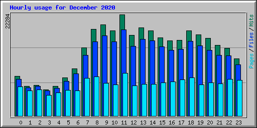 Hourly usage for December 2020