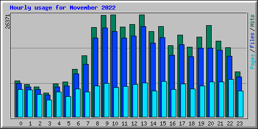 Hourly usage for November 2022