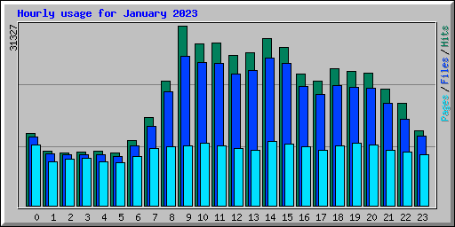 Hourly usage for January 2023
