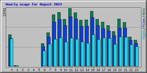 Hourly usage for August 2023