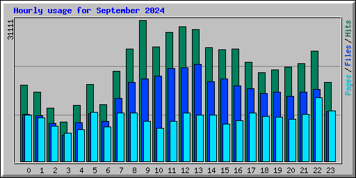 Hourly usage for September 2024