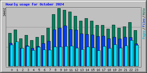 Hourly usage for October 2024
