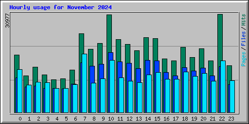 Hourly usage for November 2024