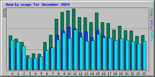 Hourly usage for December 2024