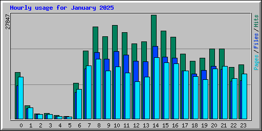 Hourly usage for January 2025