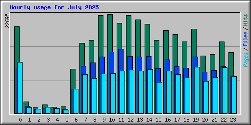 Hourly usage for July 2025