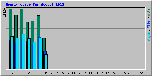 Hourly usage for August 2025