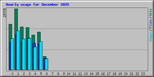 Hourly usage for December 2025