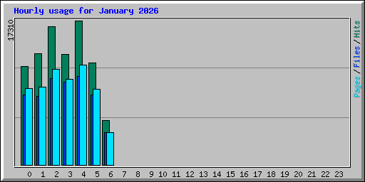 Hourly usage for January 2026