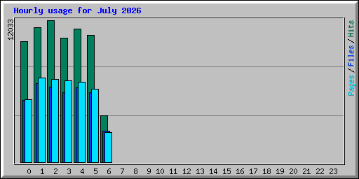 Hourly usage for July 2026
